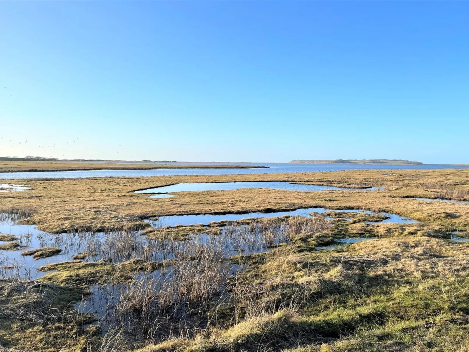 "Withger" - 1.6km from the sea-Binnen