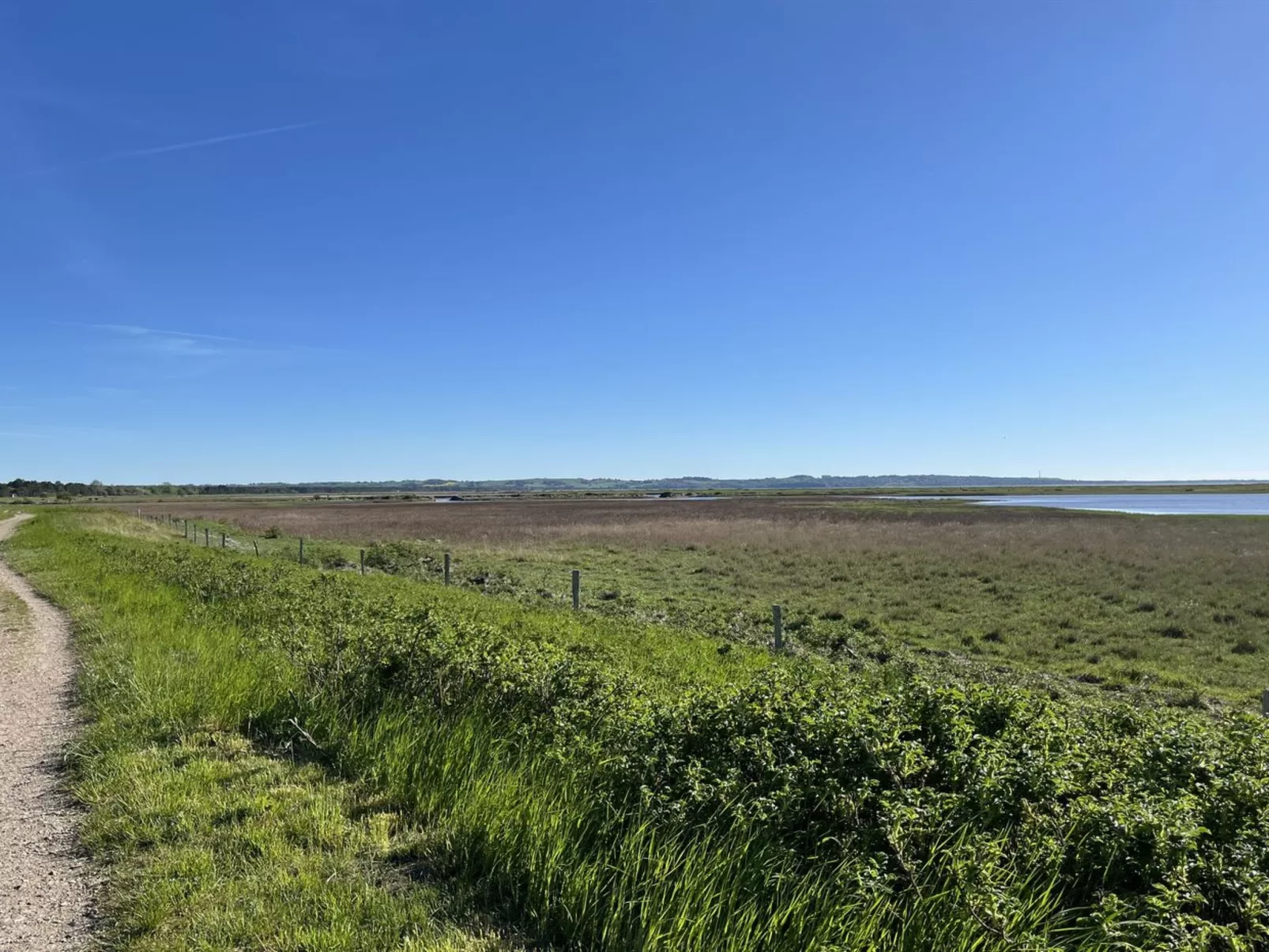 "Felis" - 575m from the sea-Buiten