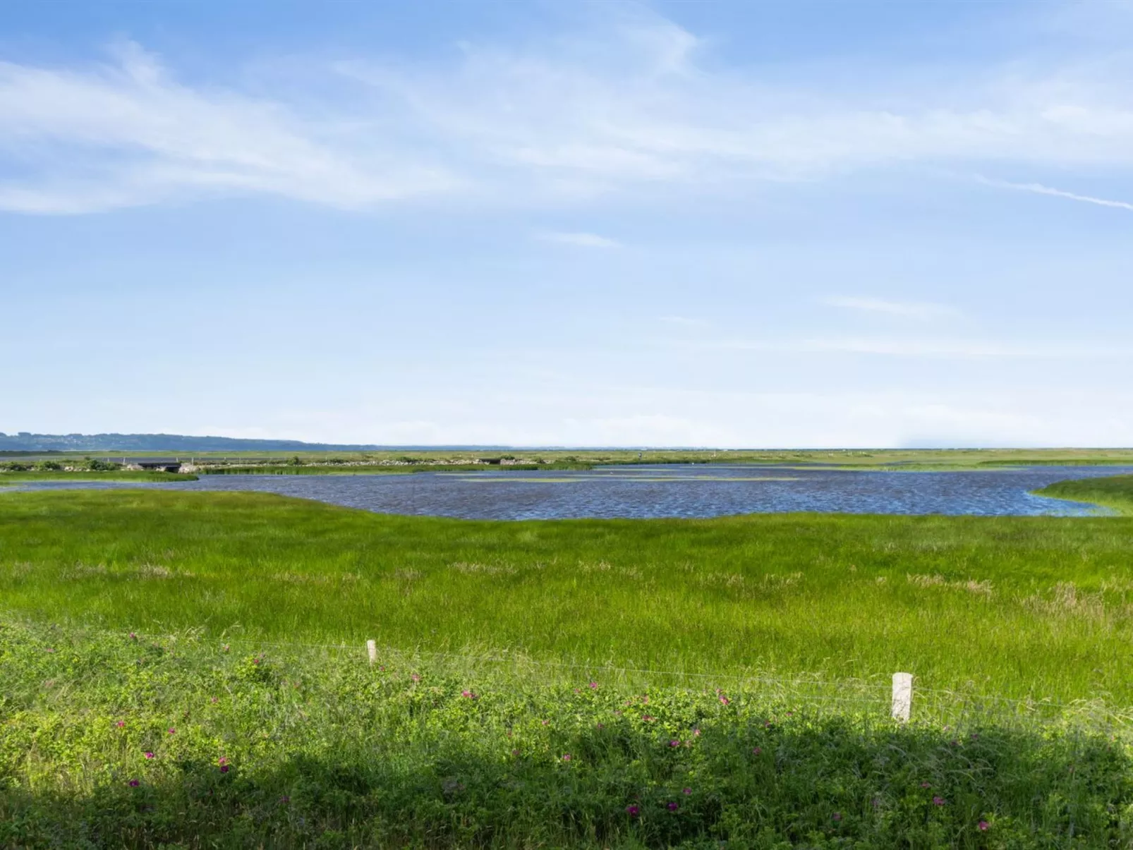 "Felis" - 575m from the sea-Buiten
