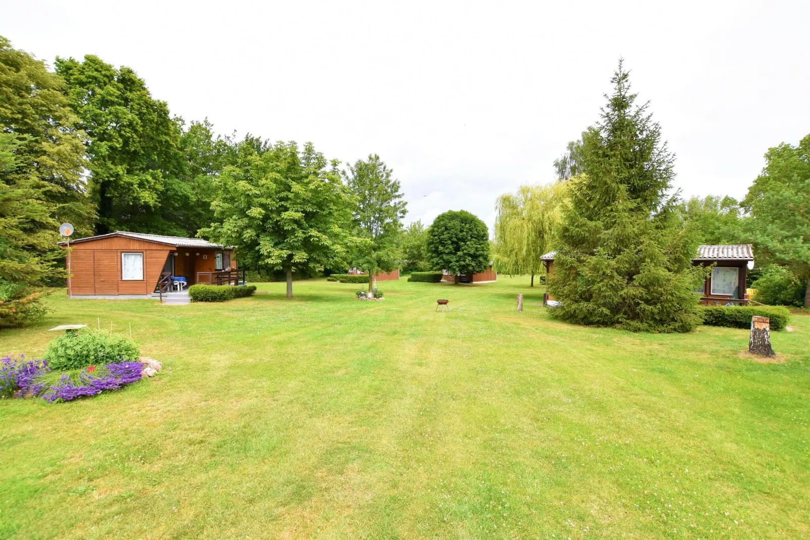 Bungalowanlage Gänseblümchen 2-Gebieden zomer 1km