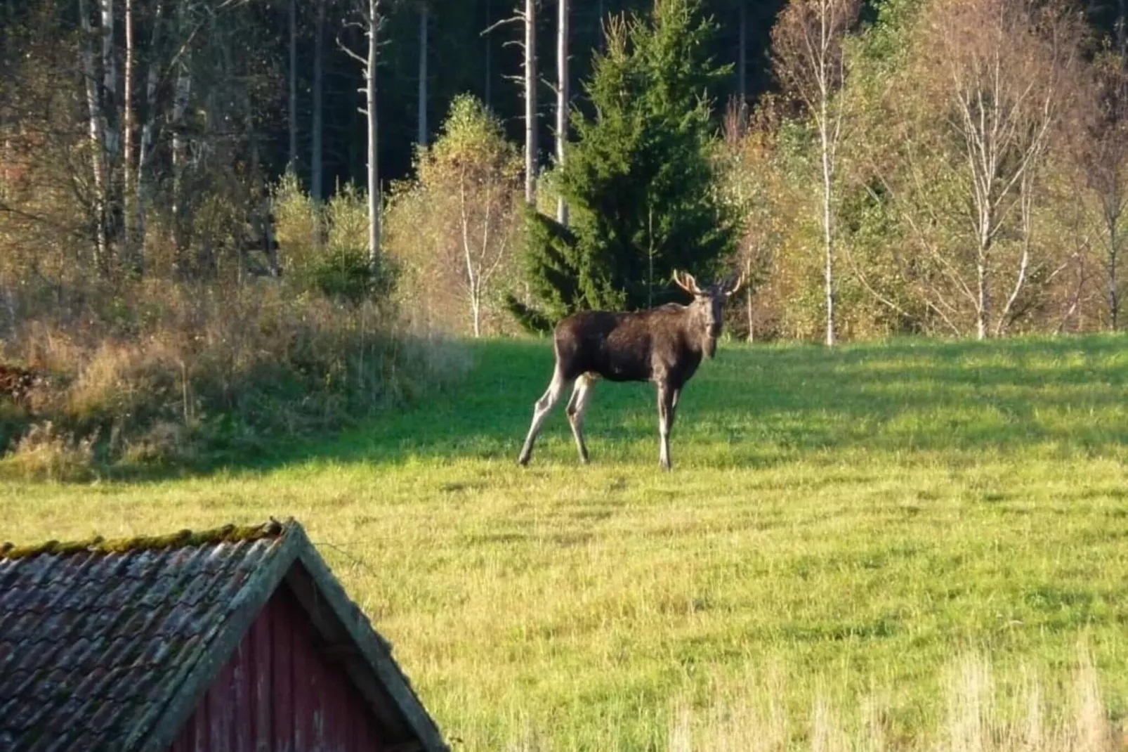 7 persoons vakantie huis in Oviken-By Traum-Niet-getagd