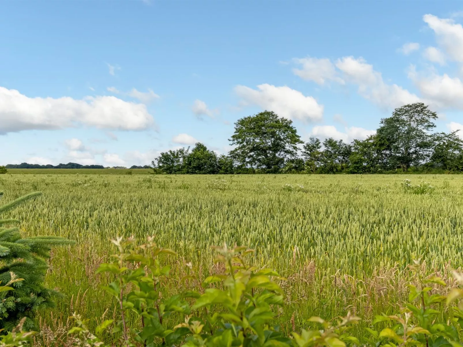 "Thrine" - 24km from the sea-Buiten