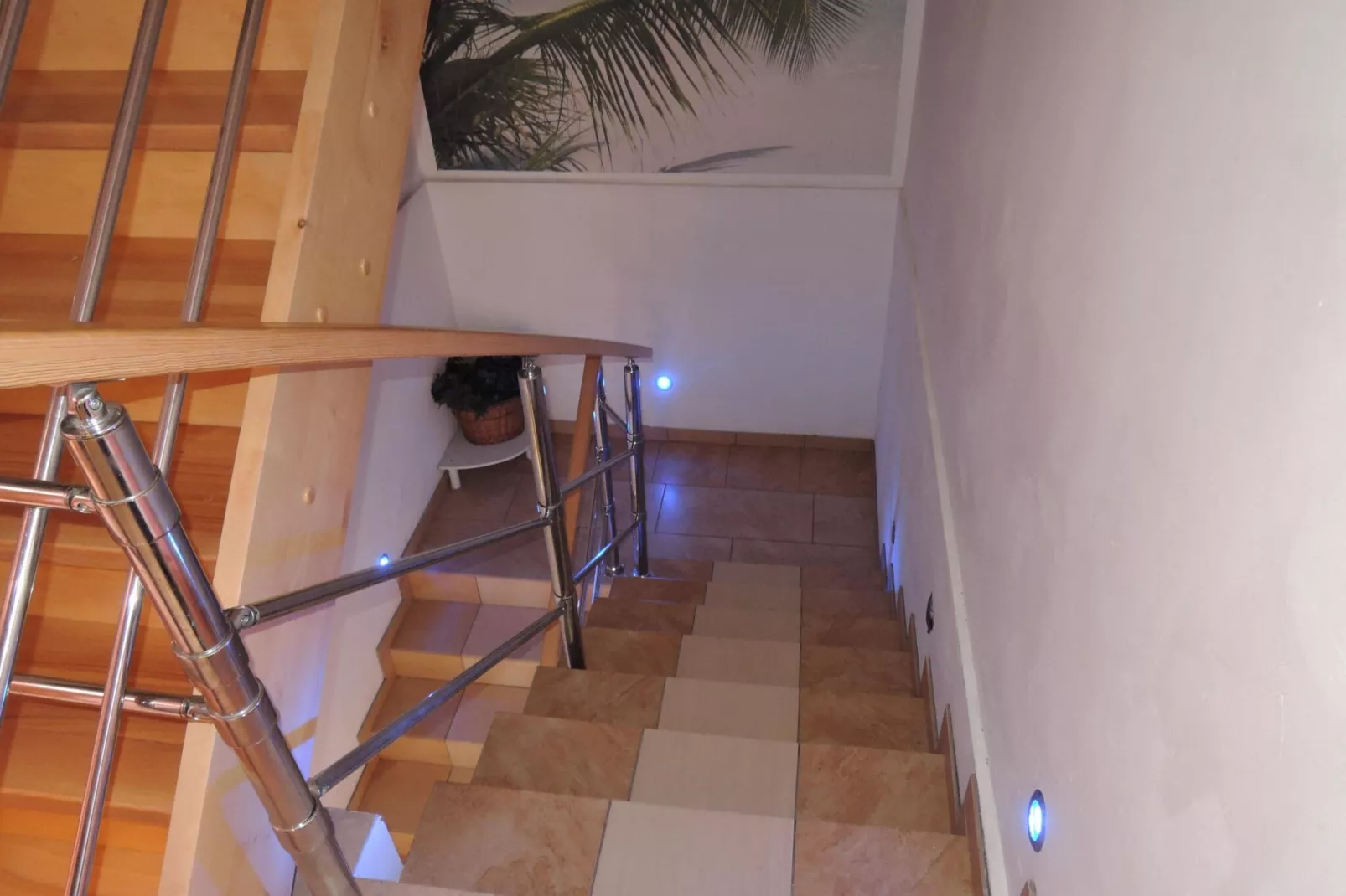 Apartament 4 osobowy fioletowy biskupi-Faciliteiten