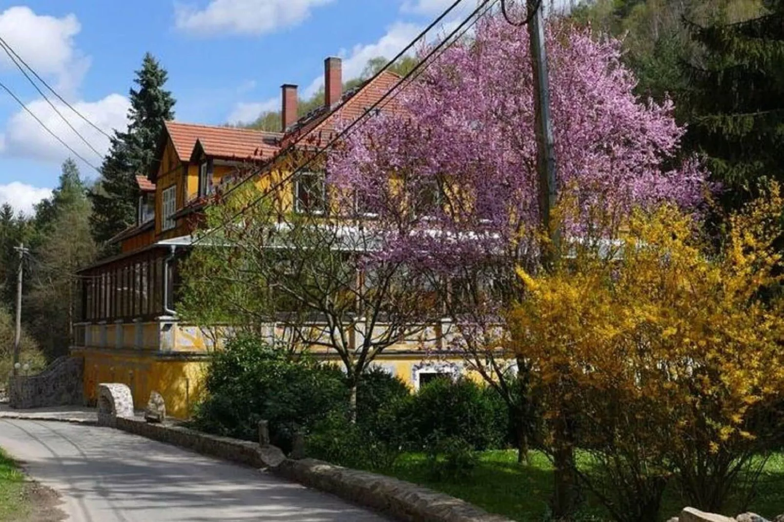 Villa Rotschönberg-Buitenkant zomer