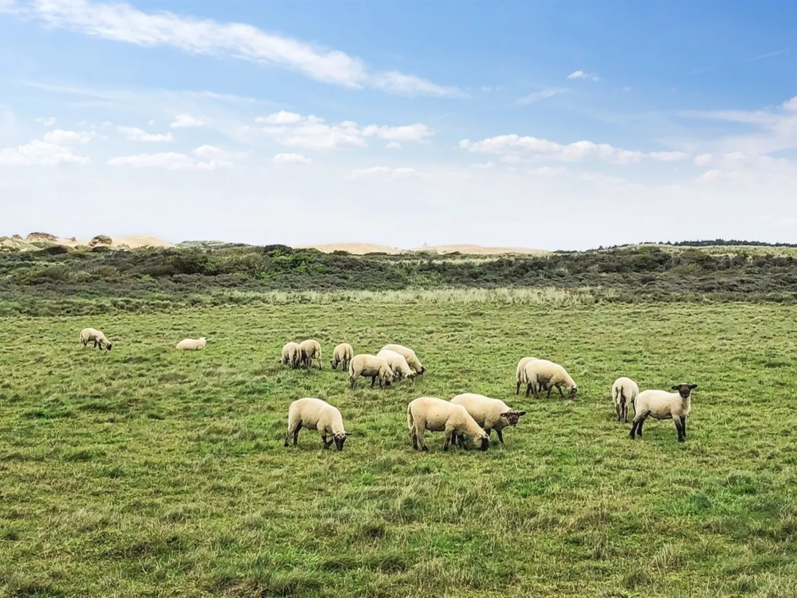 "Skyler" - 400m from the sea-Buiten