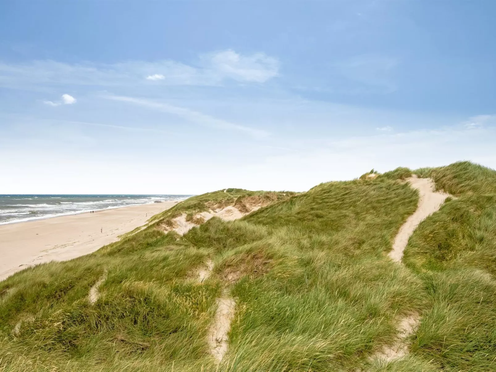 "Felicita" -  from the sea-Buiten