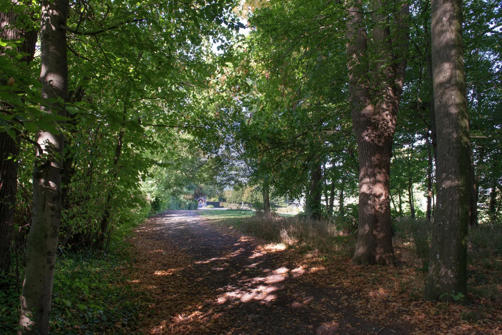 Chateau de Jevoumont-Gebieden zomer 1km