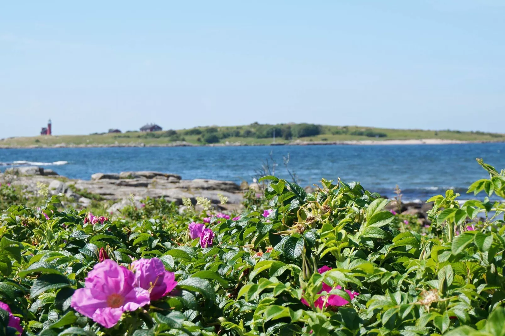 4 sterren vakantie huis in Halmstad-Niet-getagd