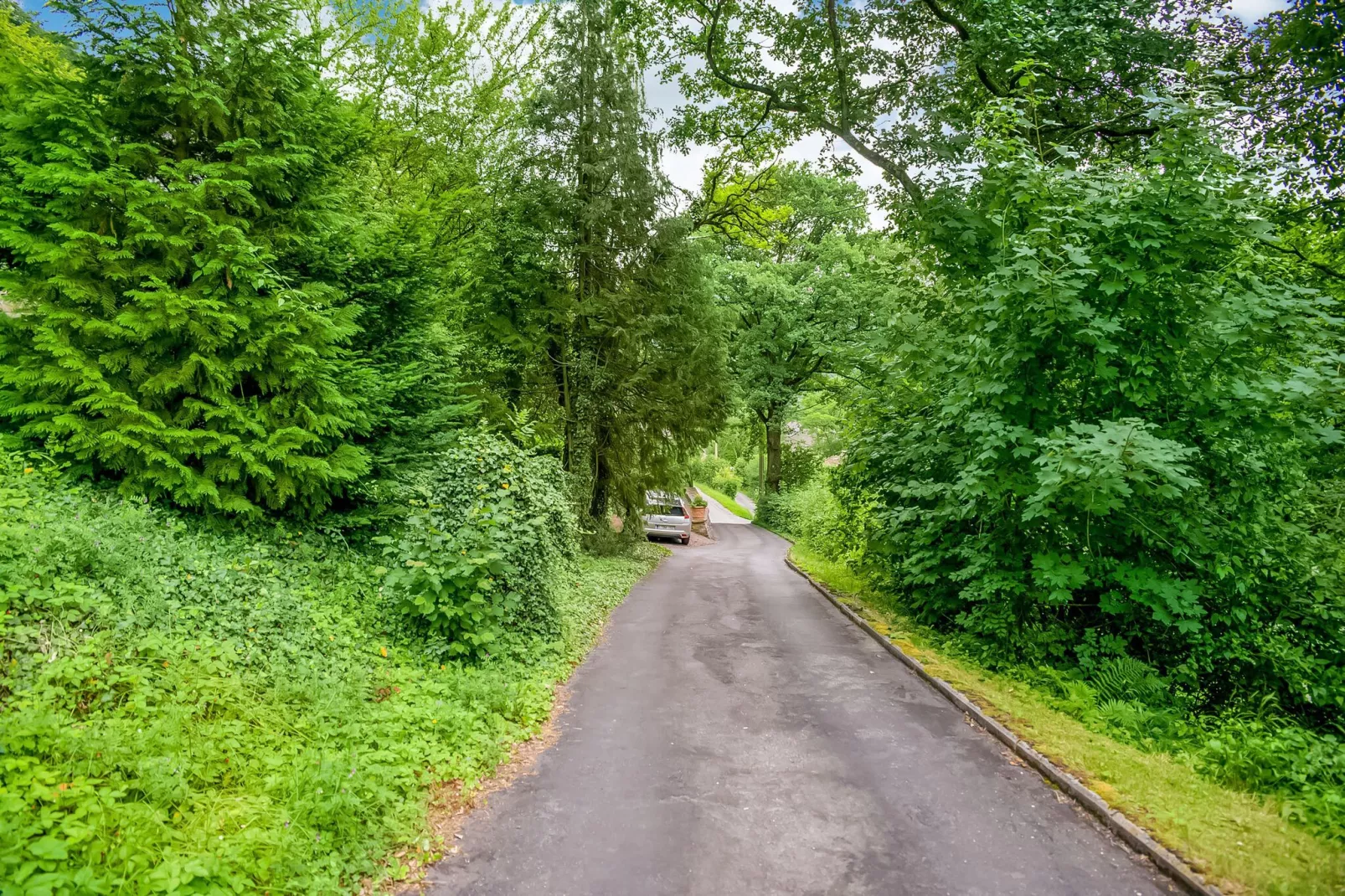 Belle Vue-Gebieden zomer 5km