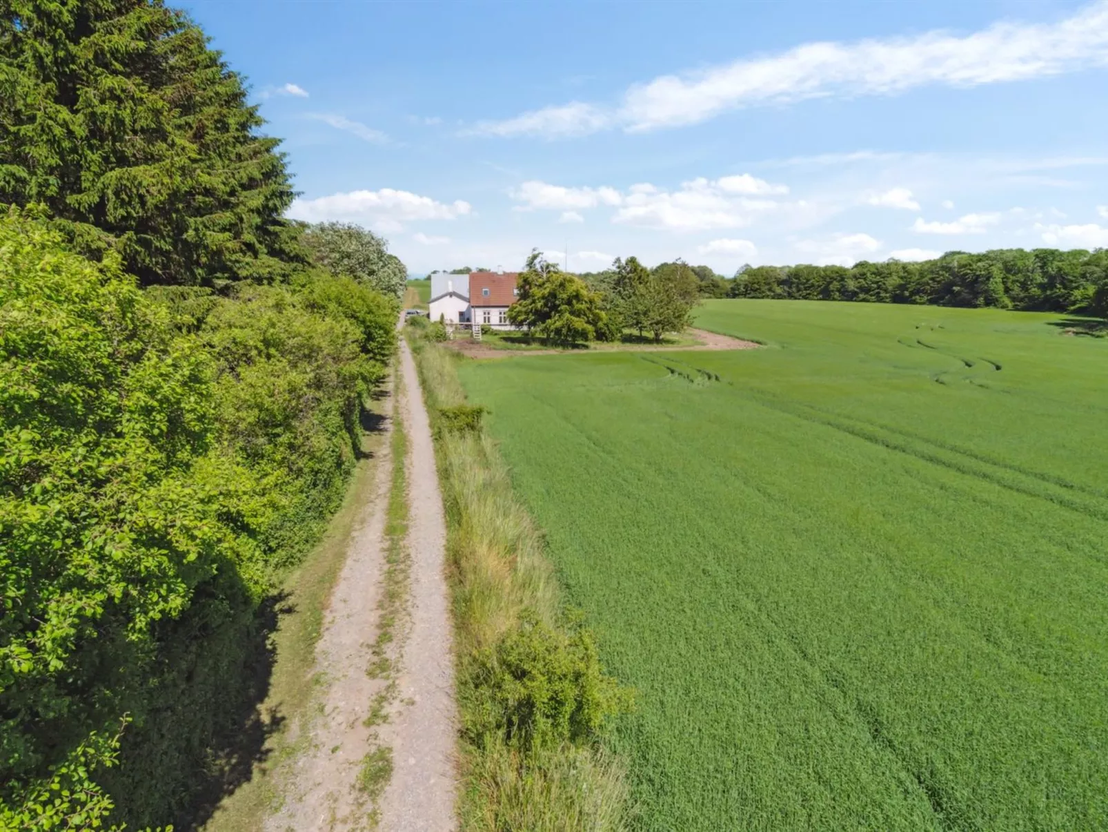"Antonina" - 800m from the sea-Buiten