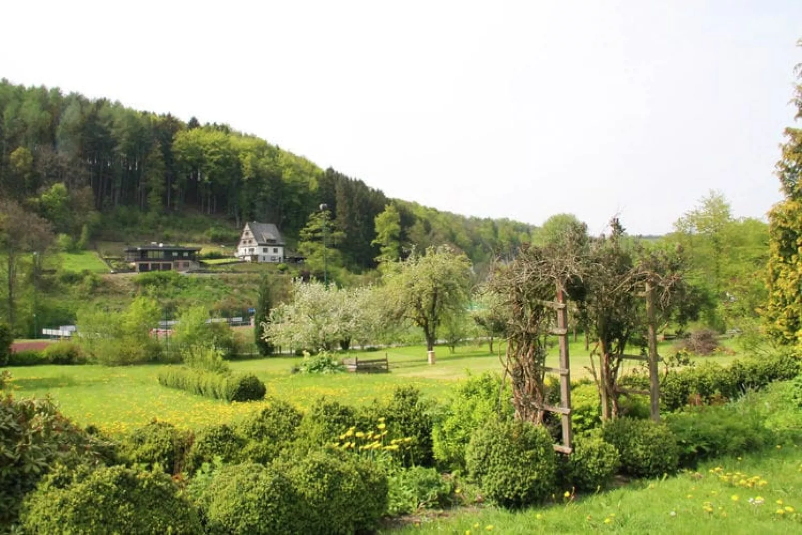 Freundlich Siedlinghausen-Tuinen zomer