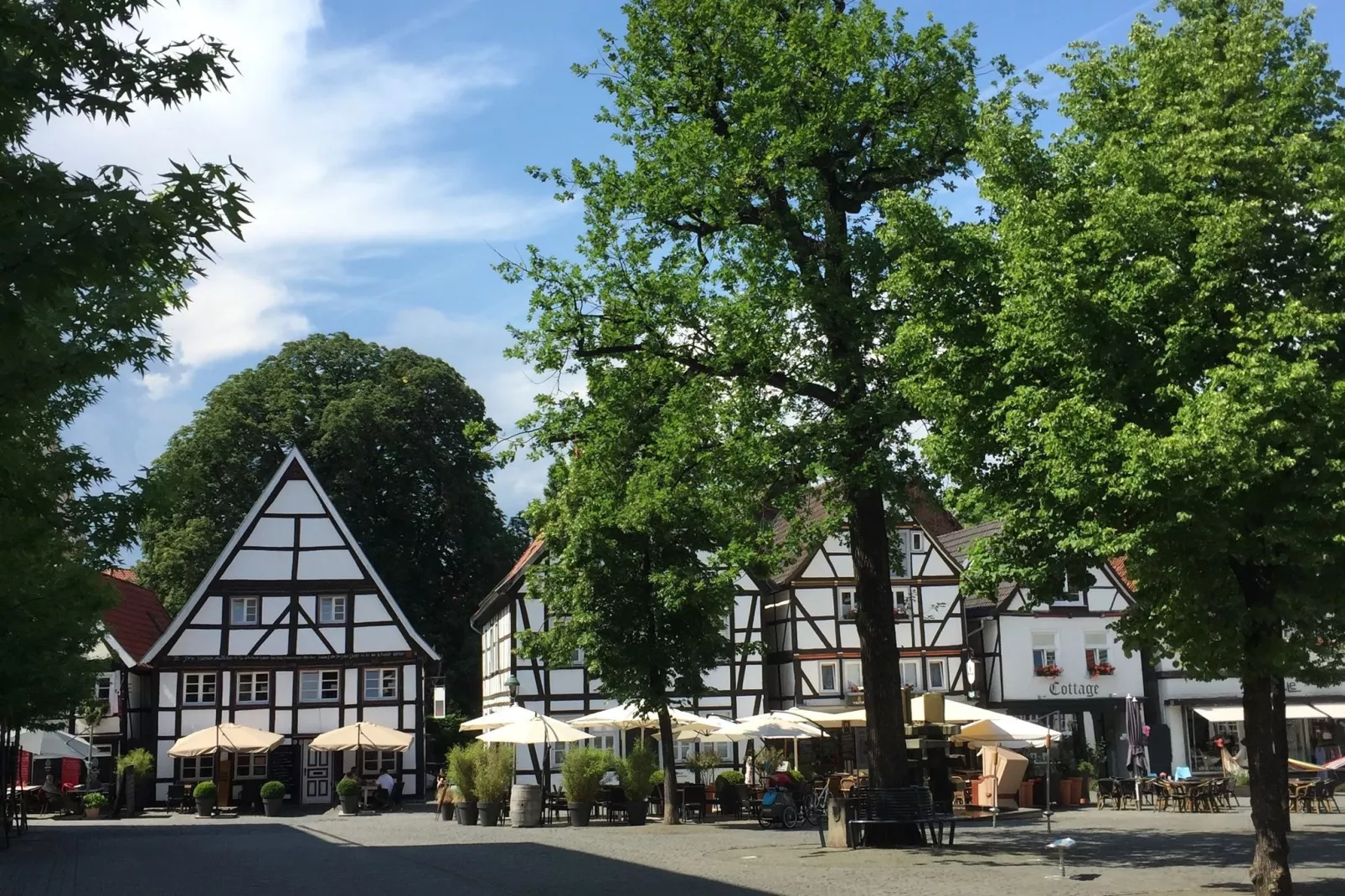 Freundlich Siedlinghausen-Gebieden zomer 5km