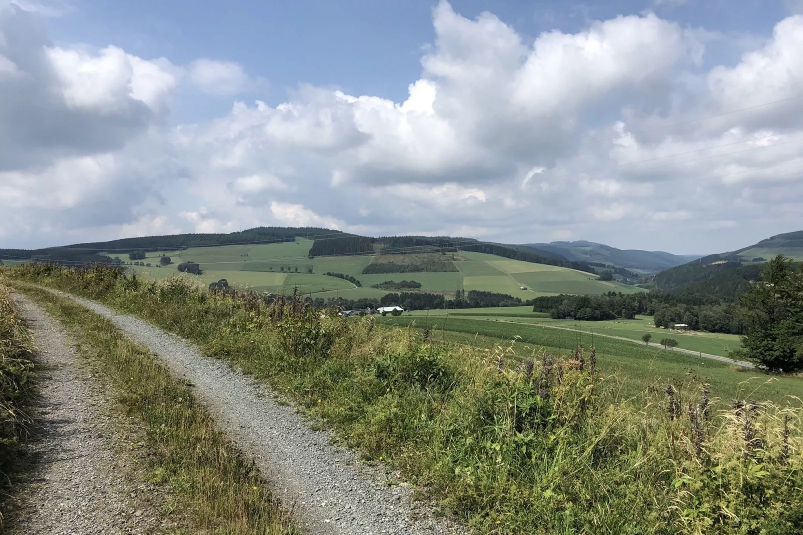 Freundlich Siedlinghausen-Gebieden zomer 1km