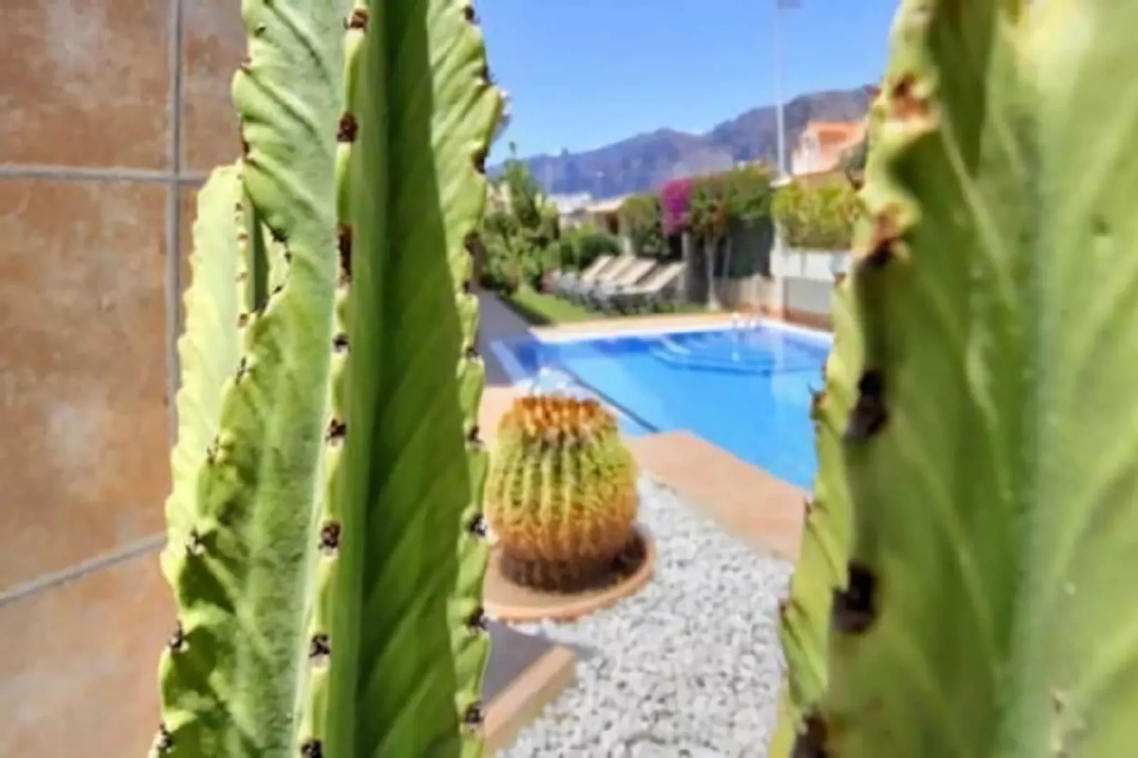 Home Holidays// Villa Home Holidays-Zwembad
