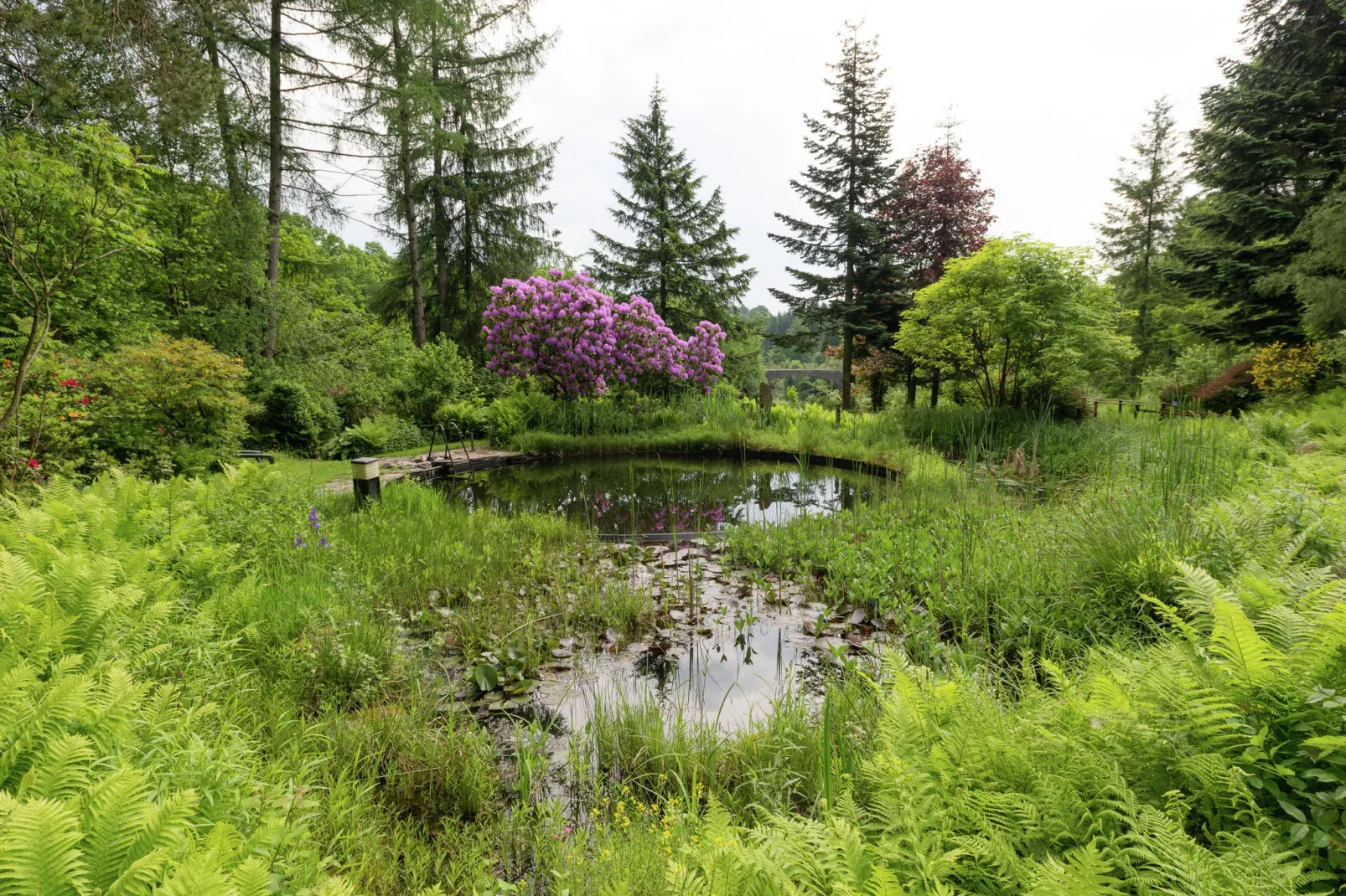 Le Jardin des Eaux - Tuinen zomer