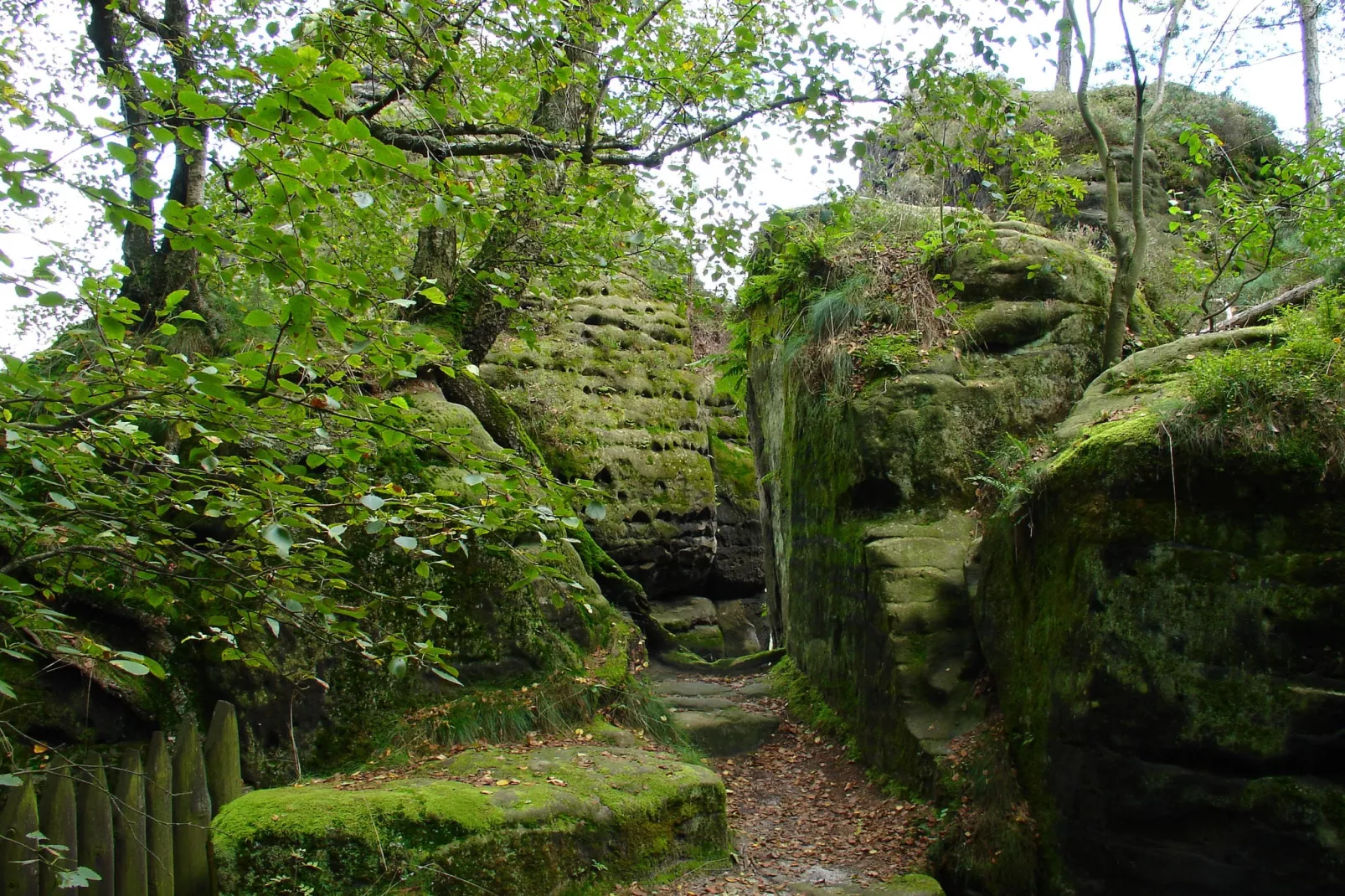 Lilienstein-Gebieden zomer 1km