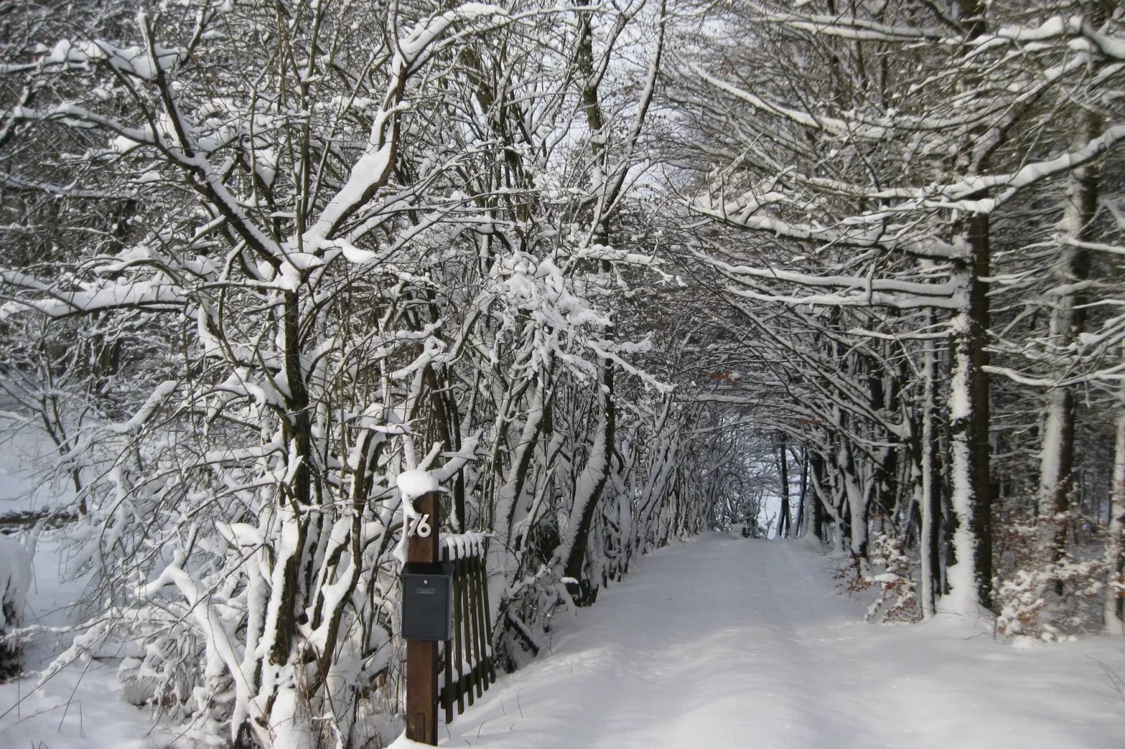 Le Jardin des Eaux - Tuin winter