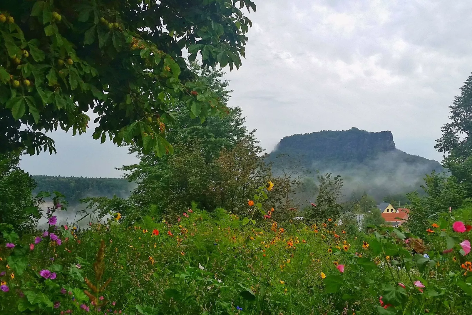 Bastei-Uitzicht zomer