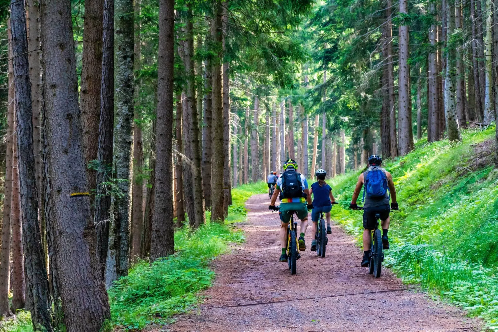 Ol Vich Périr Waimes-Gebieden zomer 1km