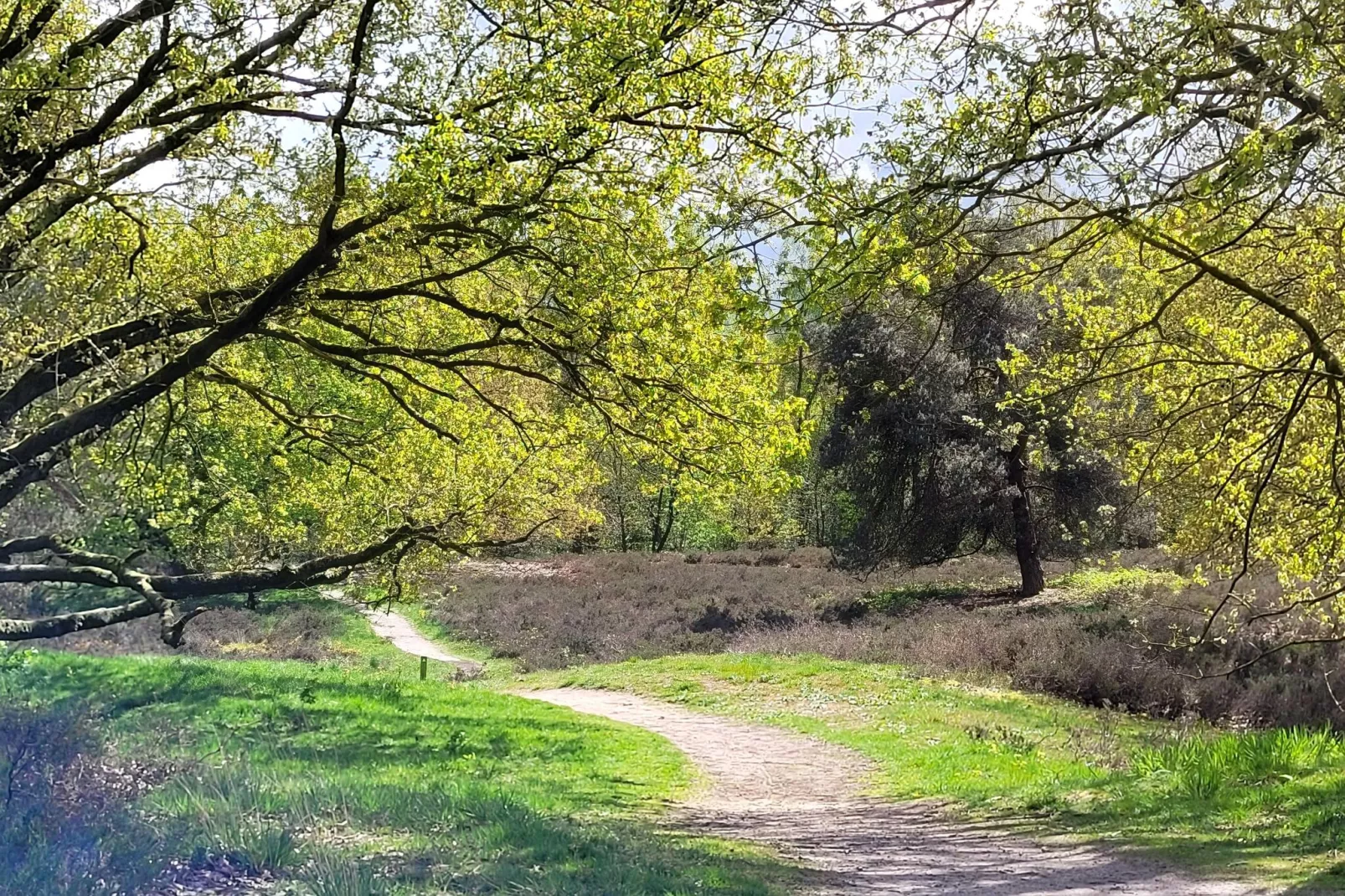 B&B Overloon 4 Personen-Gebieden zomer 5km