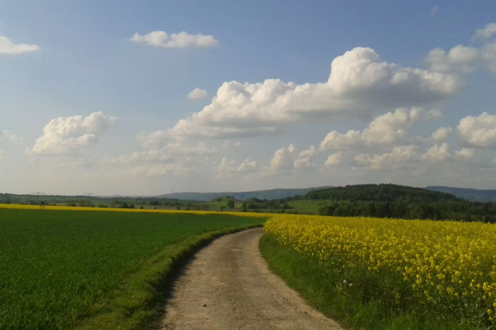 Sächsische Schweiz-Gebieden zomer 5km