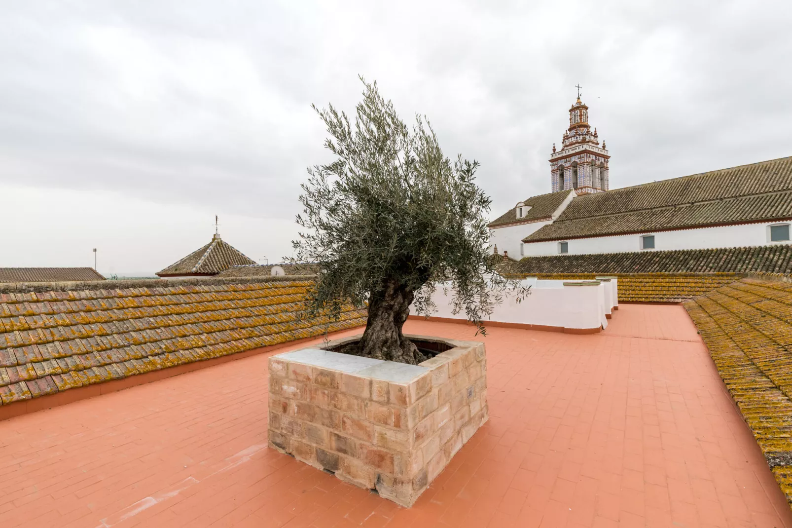 Casa Palacio de la Carrera