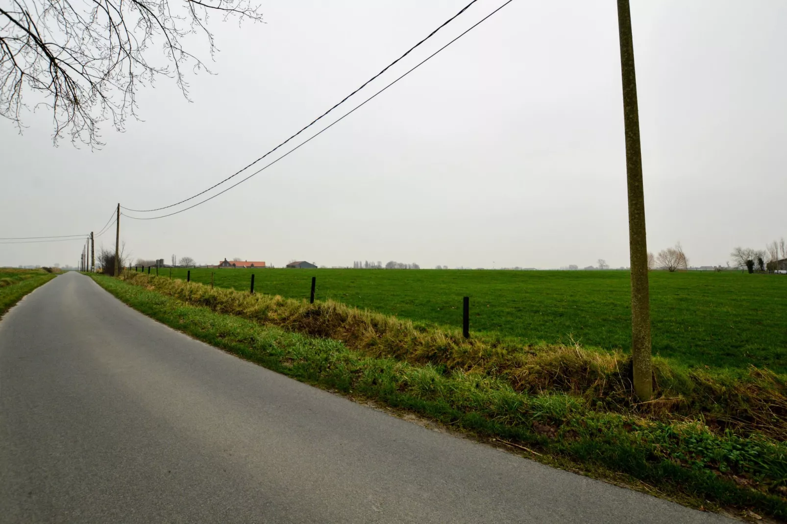 De Korte Lindehoeve-Uitzicht zomer