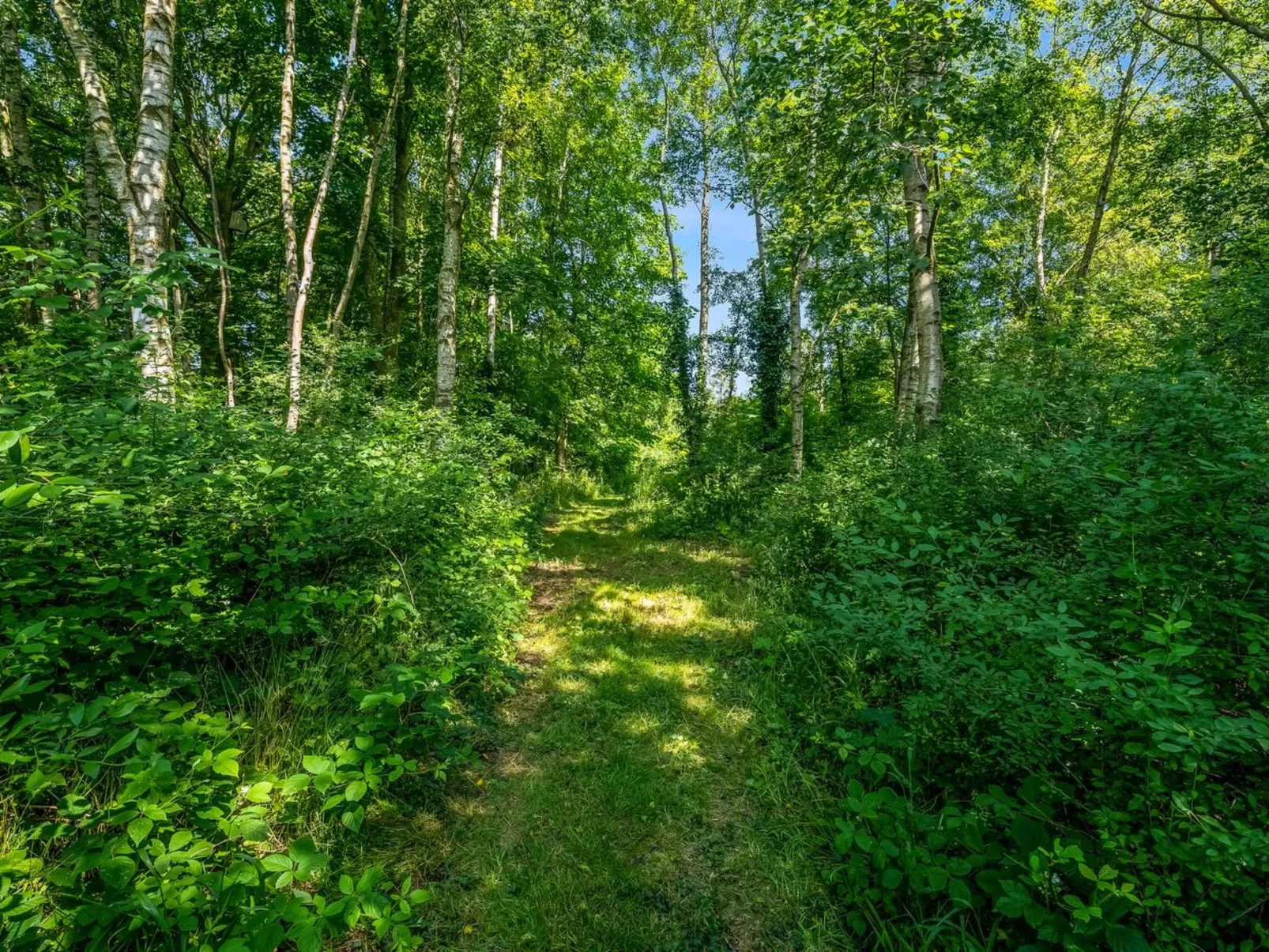 "Patrice" - 300m from the sea-Buiten