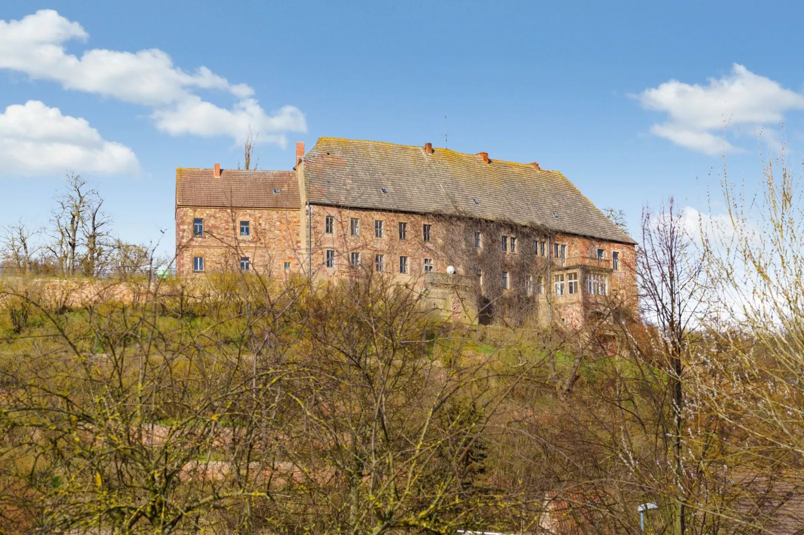 Ferienwohnung im historischen Schloß Friedeburg-Gebieden zomer 1km