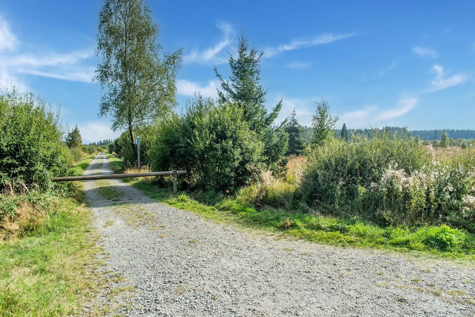 La Grande Ourse-Gebieden zomer 1km