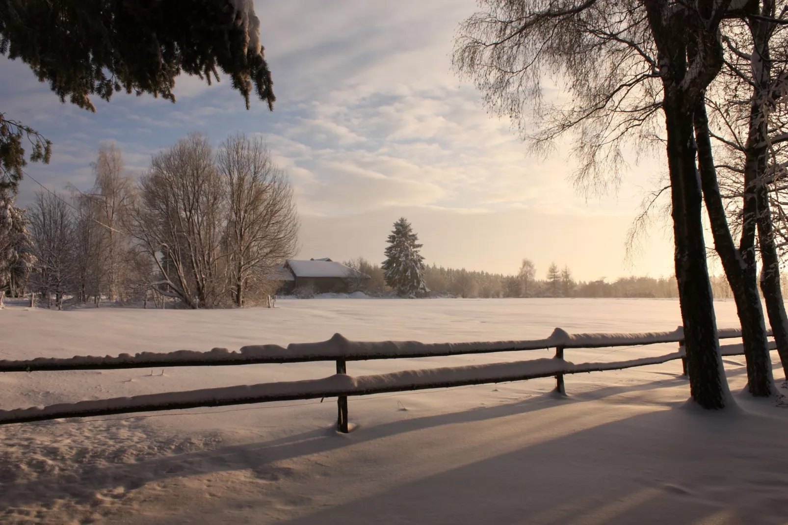 Apollinaire-Uitzicht winter