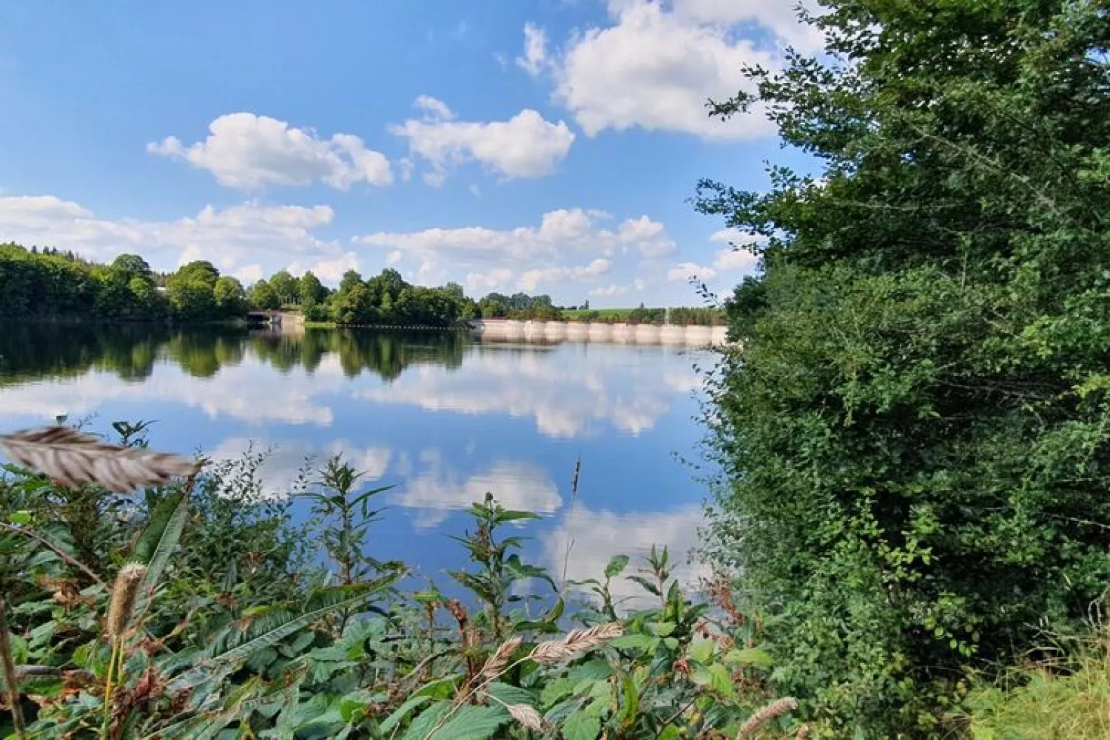 Apollinaire-Gebieden zomer 1km