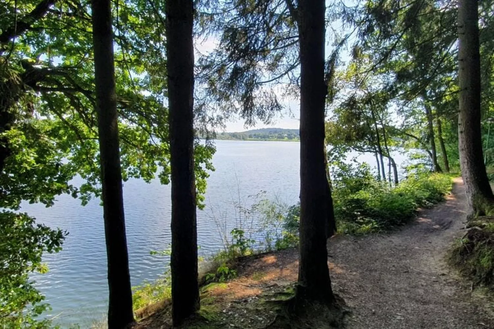 Apollinaire-Gebieden zomer 1km