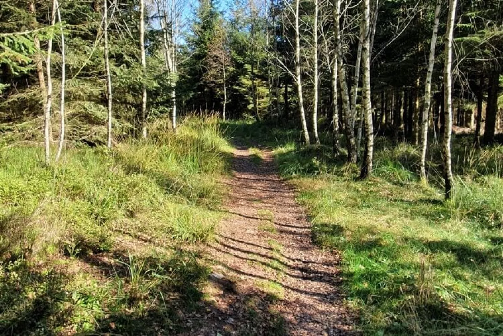 Apollinaire-Gebieden zomer 1km