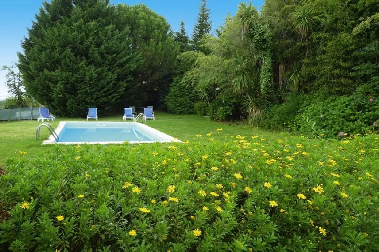 Holiday home in Folhada-Tuinen zomer