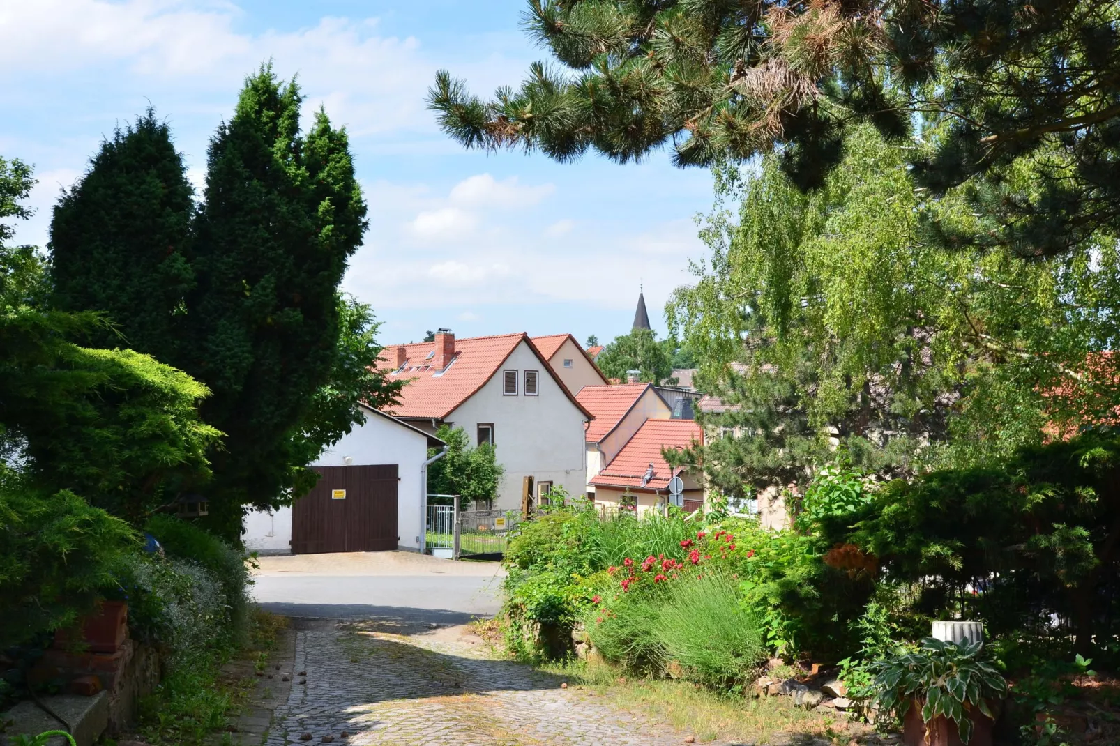 Villa Charlotte-Gebieden zomer 1km