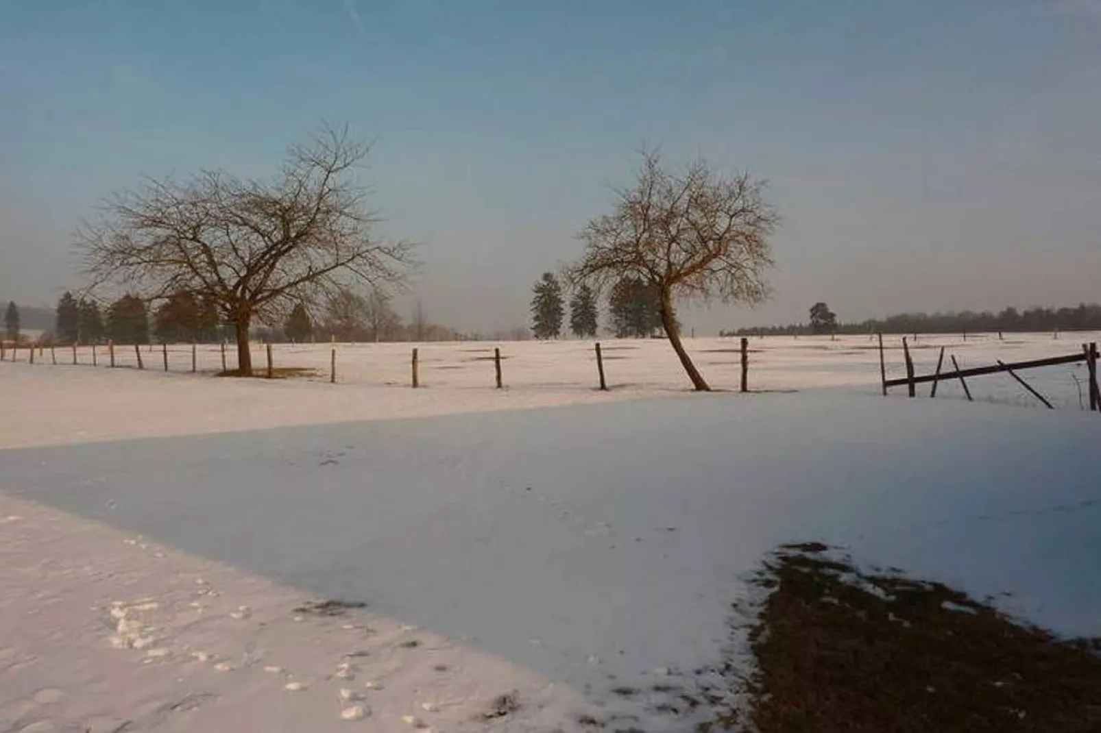 Les Pâturages-Gebied winter 1km