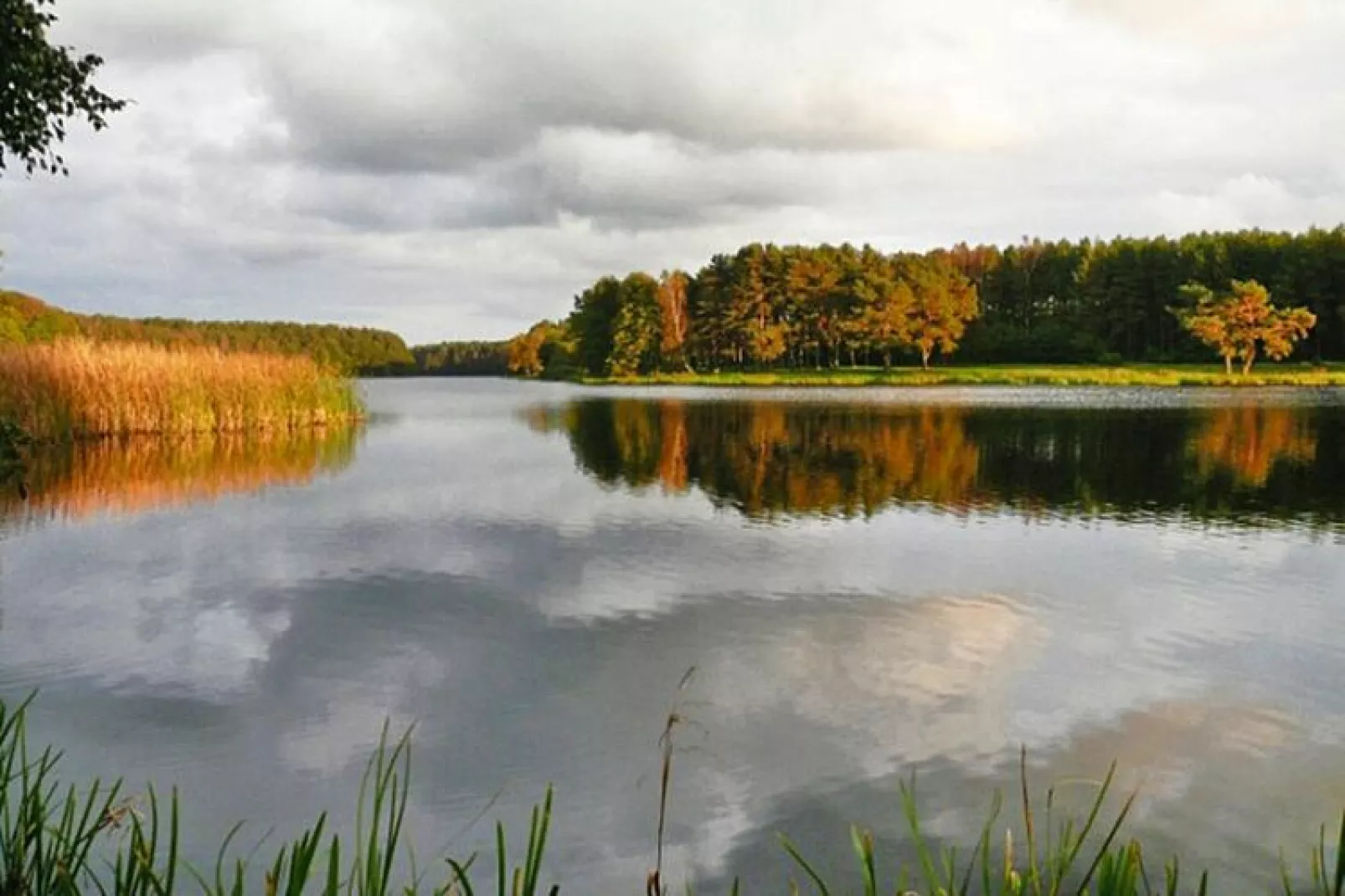 Dom wakacyjny dla 7 osób w Rosnowie-Waterzicht