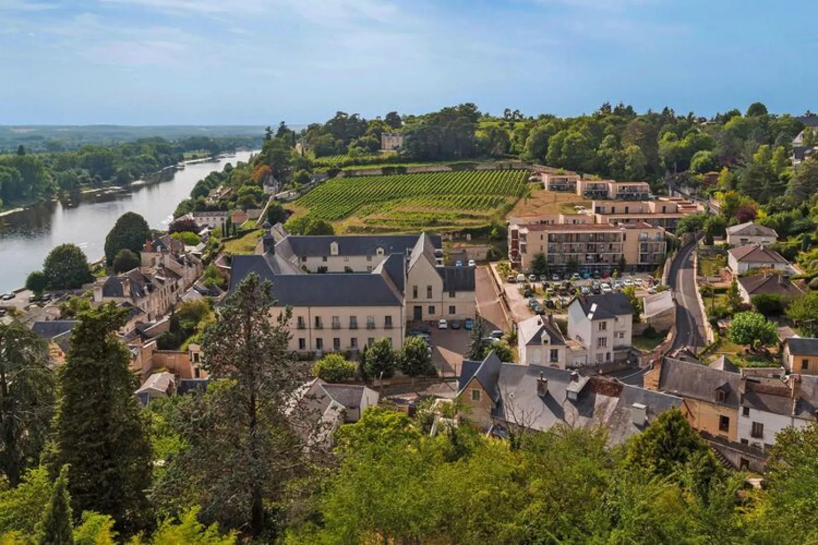 Vakantiehuis in Chinon met buitenzwembad-Buitenkant zomer