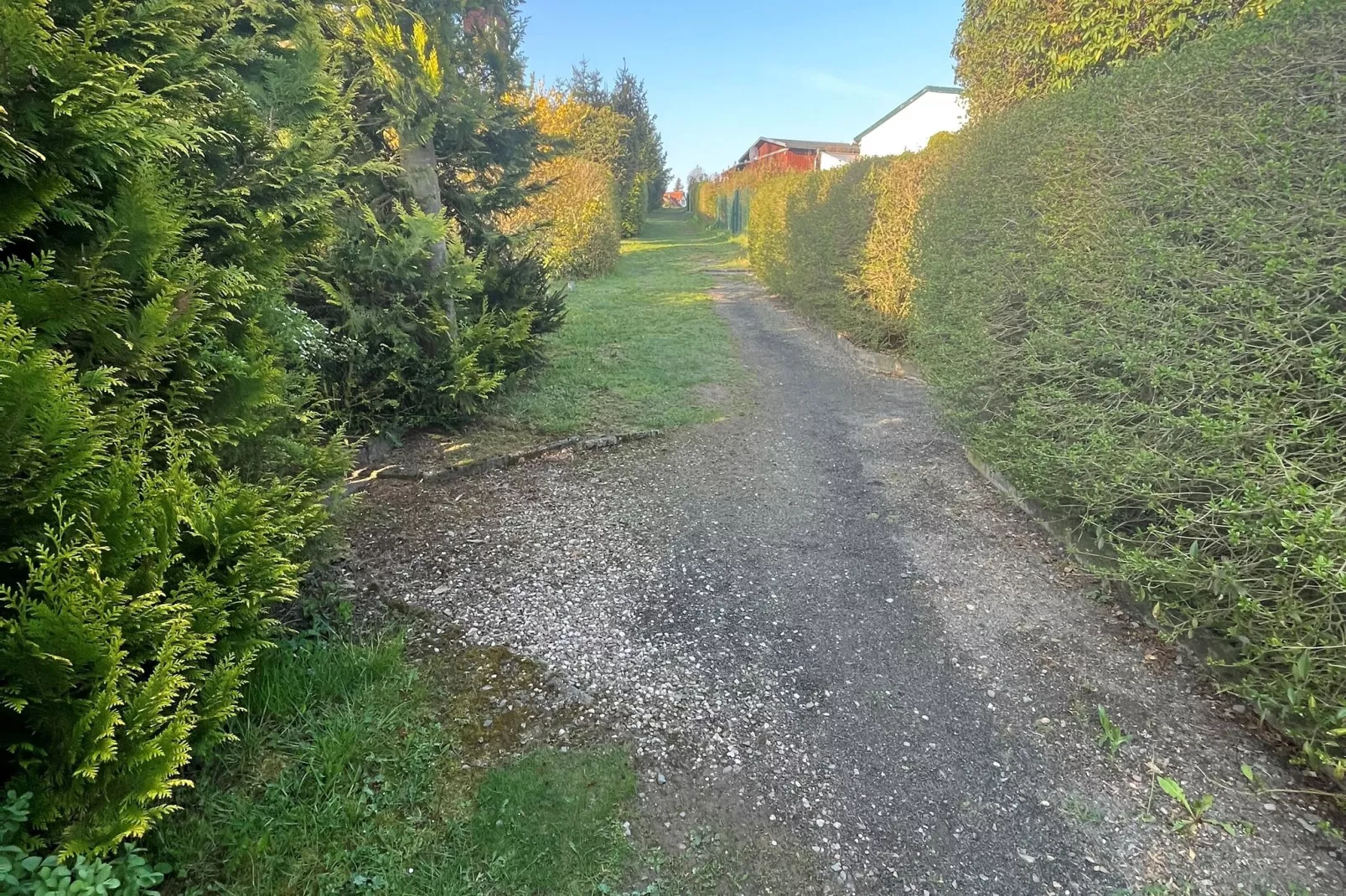 Harz-Gebieden zomer 1km