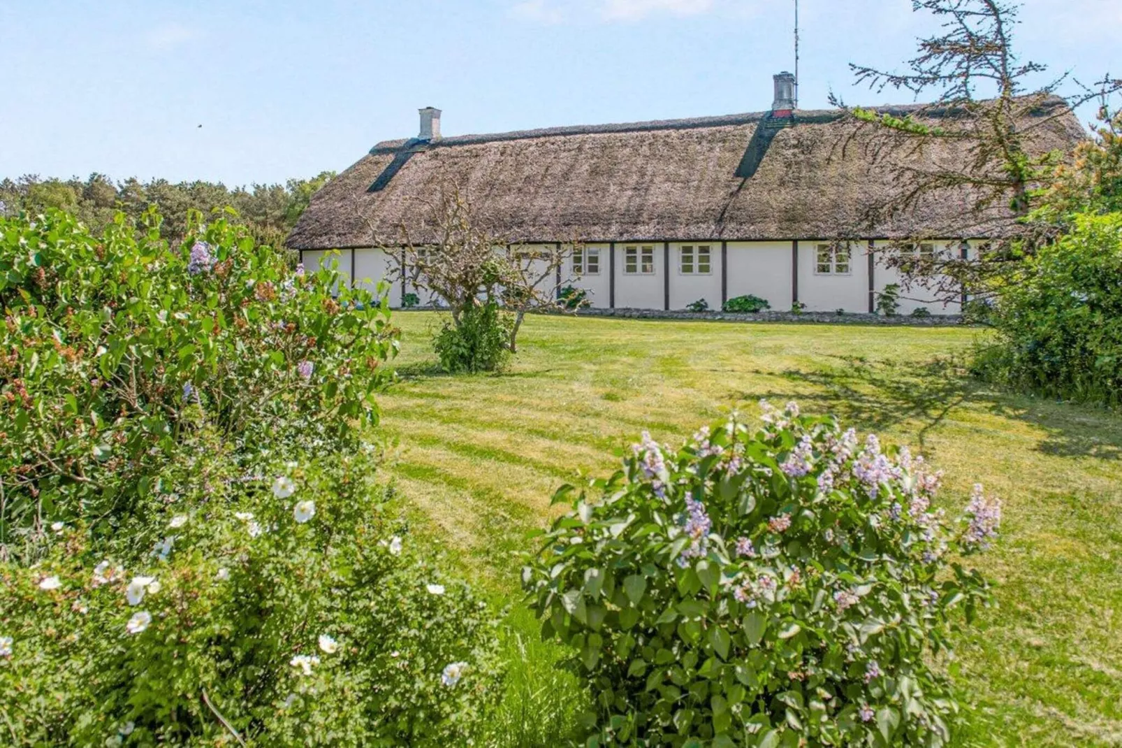 4 persoons vakantie huis in Læsø-By Traum-Buitenlucht