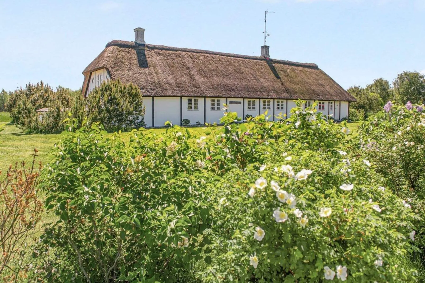 4 persoons vakantie huis in Læsø-By Traum-Buitenlucht