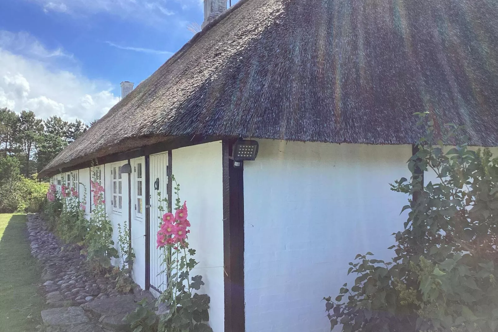 4 persoons vakantie huis in Læsø-By Traum-Buitenlucht