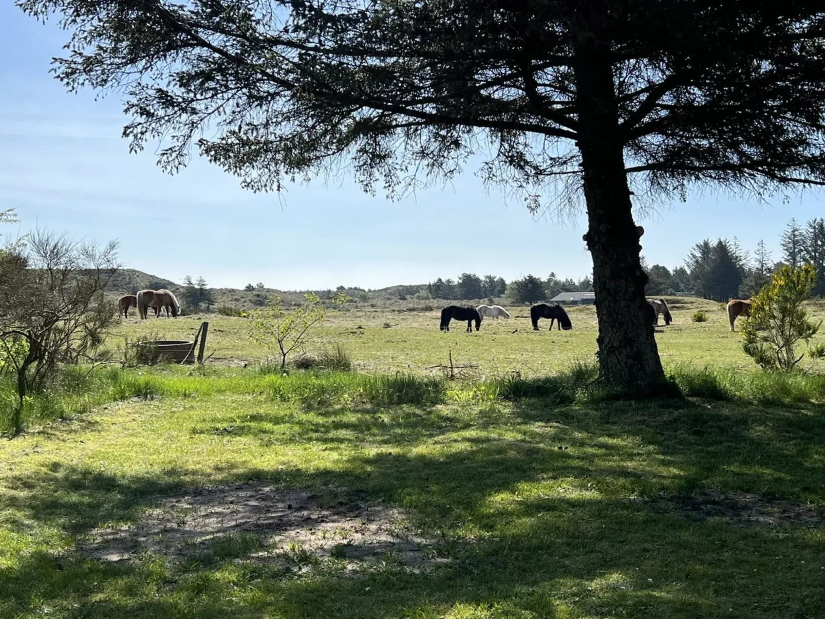 "Anniesette" - 1.5km from the sea-Buiten
