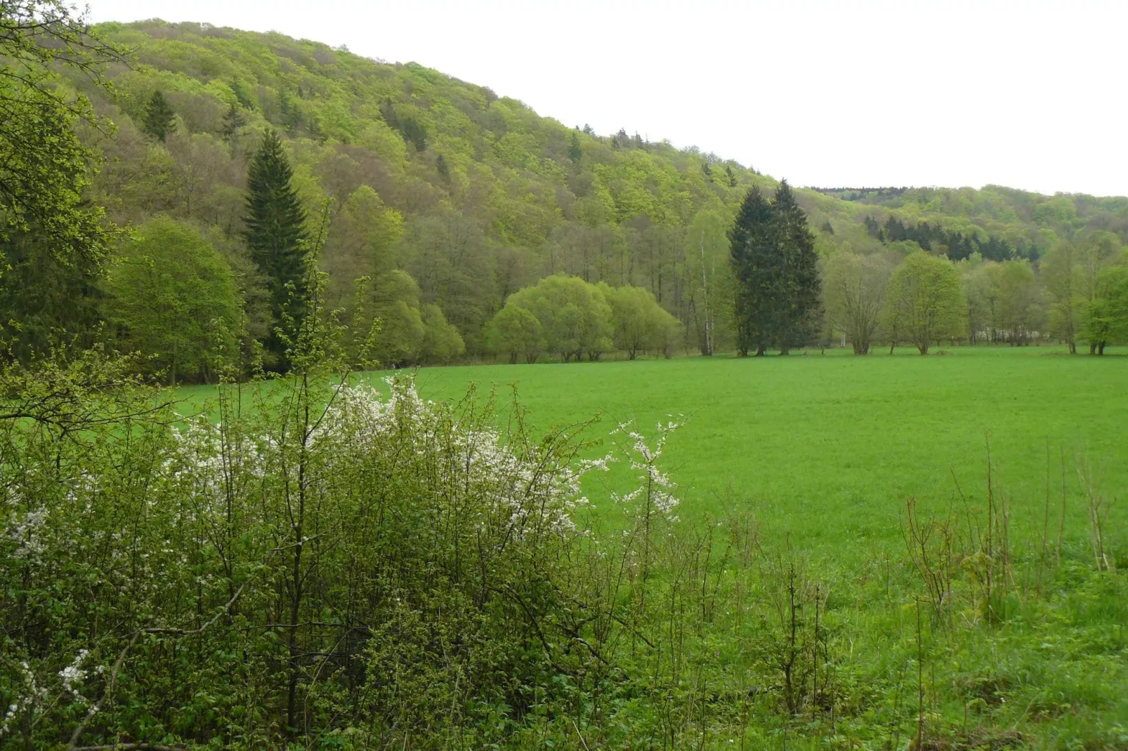 Holzhaus Ute-Gebieden zomer 1km