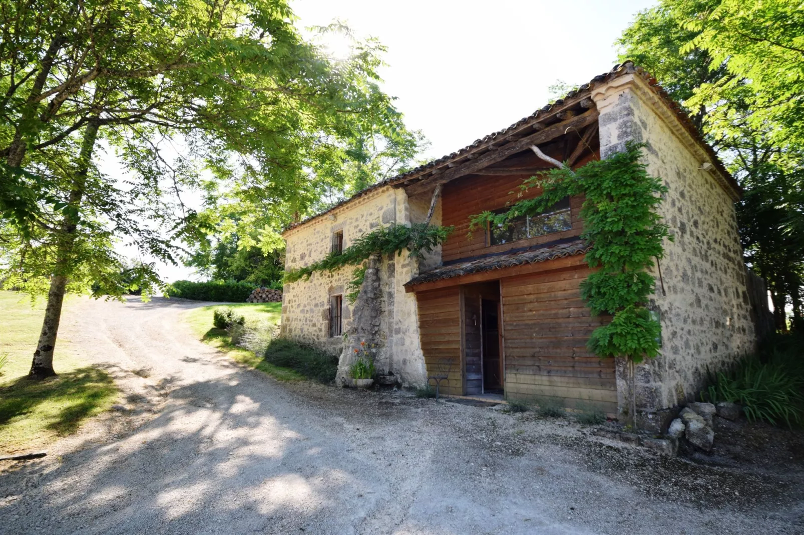 Chateau de Plèneselve 26P-Buitenkant zomer