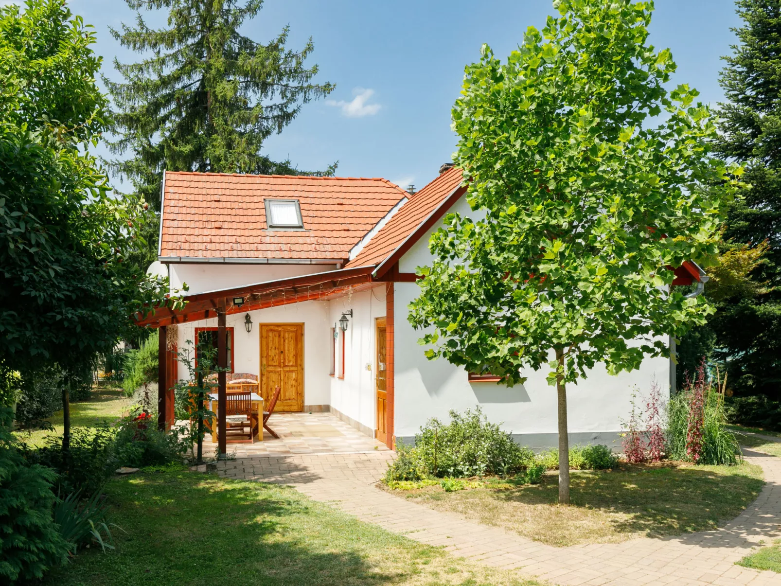 Magnolia-Buiten