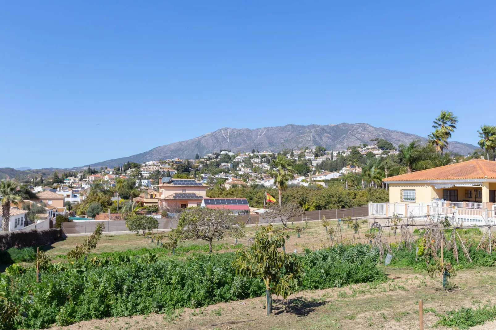 Finca El Altabacar-Gebieden zomer 1km
