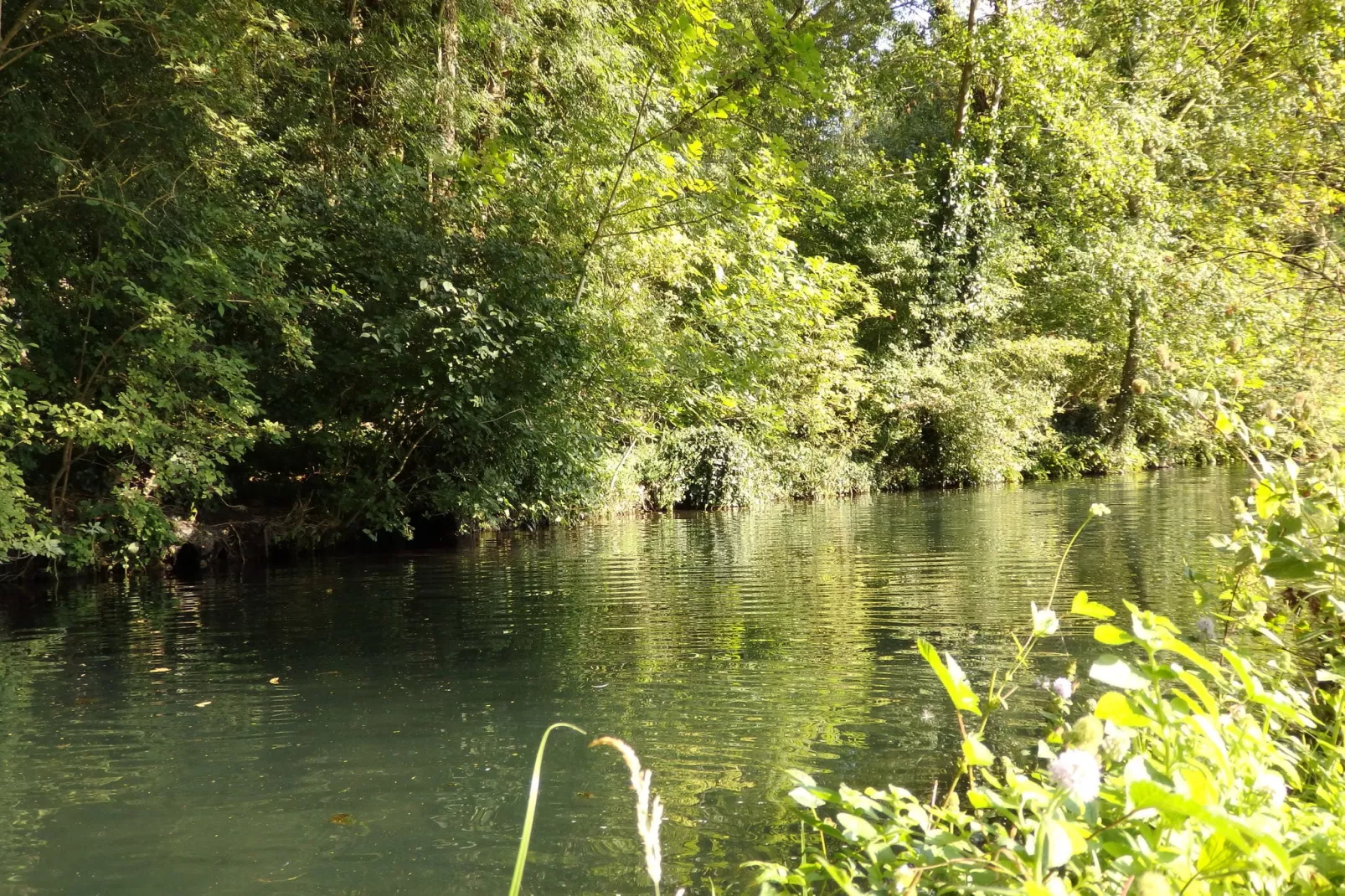 Le Mas de la Dive-Gebieden zomer 5km