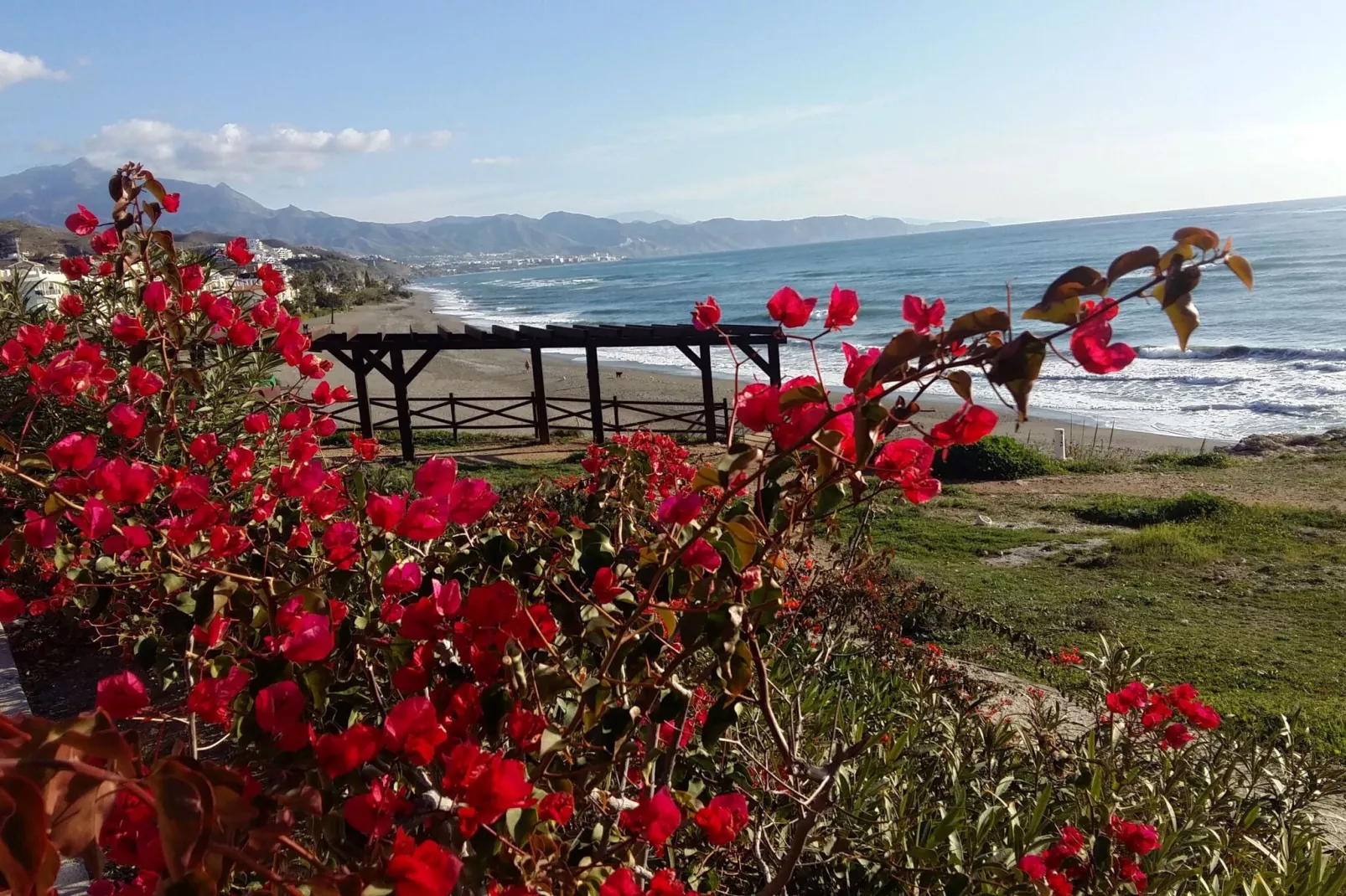 Rincon Tropical-Gebieden zomer 5km